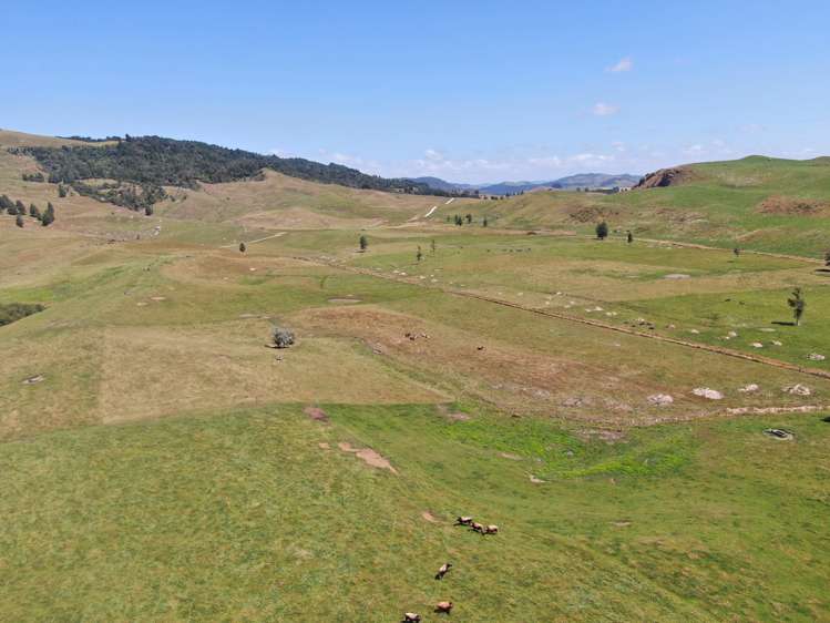 Kahuwera Road Piopio_17