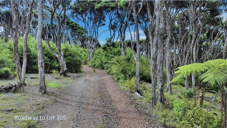 Lot 105 Hideaway Cove Kawau Island_8