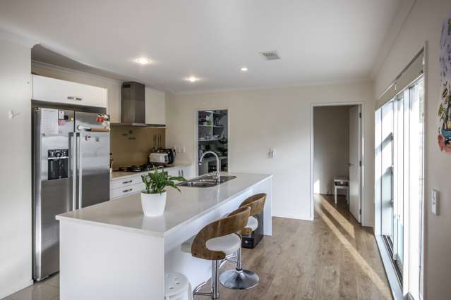 107 Amesbury Drive Churton Park_4