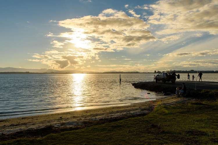 93 Waratah Street Matua_25