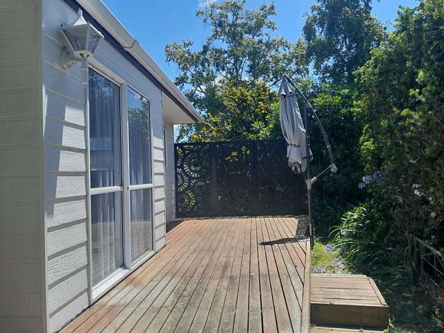 7 Dunlop Crescent Te Aroha_4