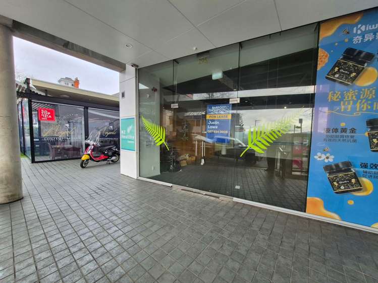 295-303 Parnell Road Parnell_9