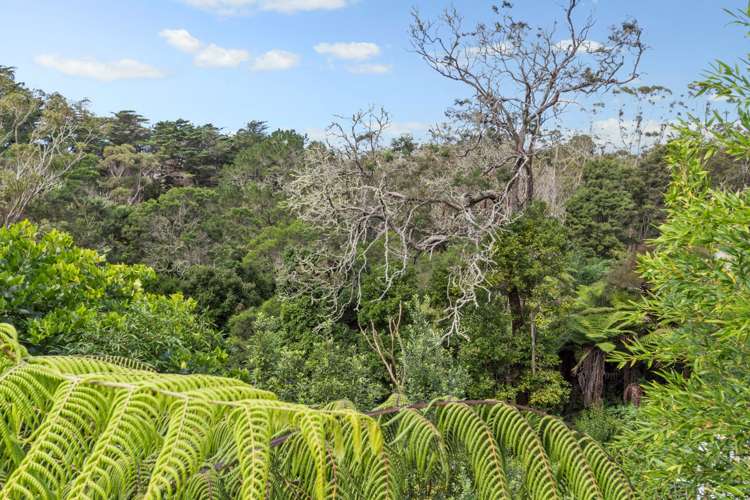 124 Candia Road Henderson Valley_10