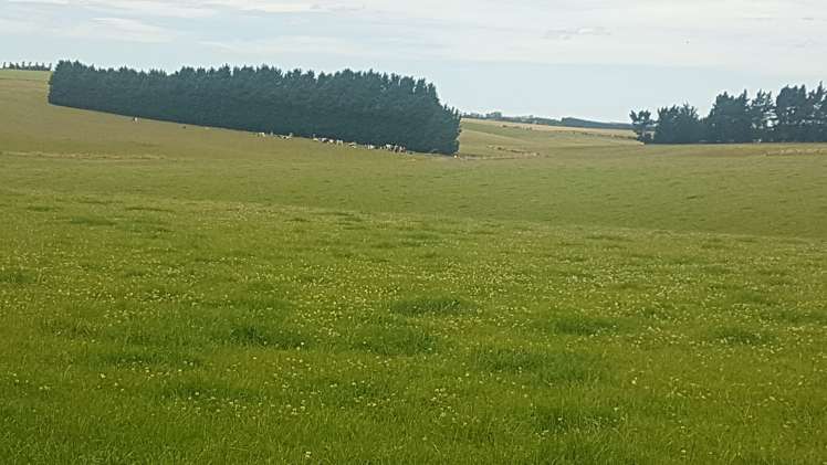 1518 Clinton Highway Clinton and Surrounds_4