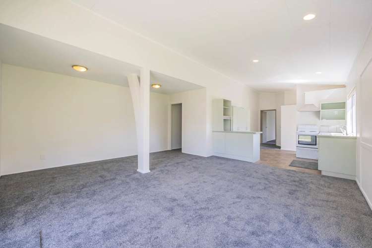 40 Wilson Road Dairy Flat_22