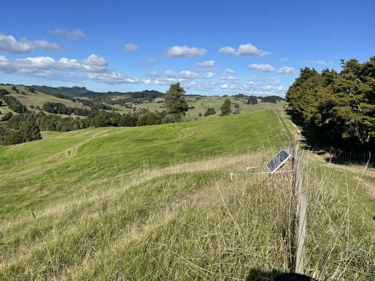 203 Otuhi Road Mangapai and Surrounds_12