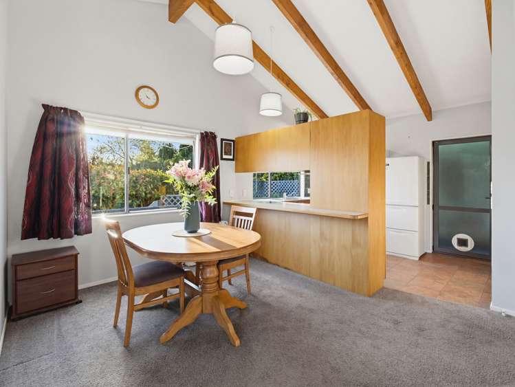 25 Alfred Street Nelson South_8