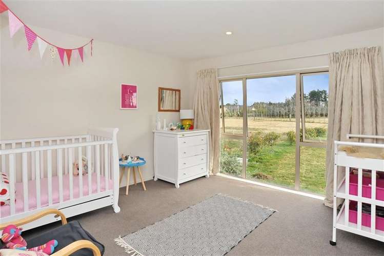 2195 South Eyre Road West Eyreton_12