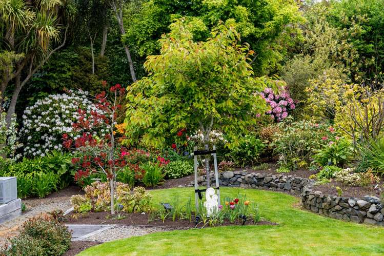 249 Taieri Road Wakari_31