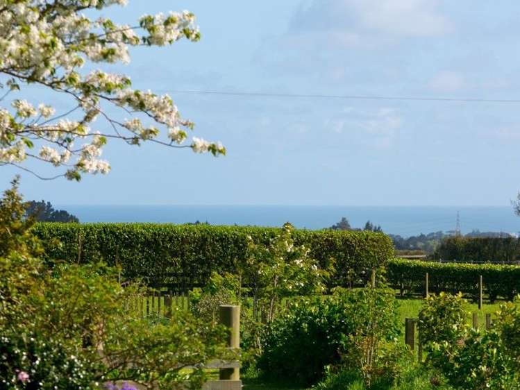 799 Mangorei Road Mangorei_30