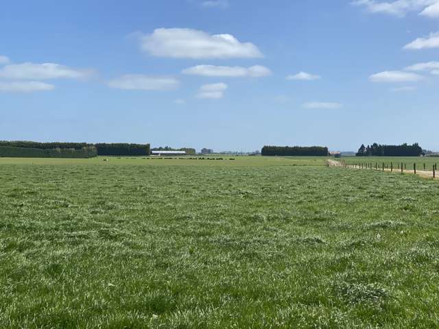 1005 Woodlands Invercargill Highway Longbush_4