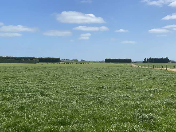 1005 Woodlands Invercargill Highway Longbush_4