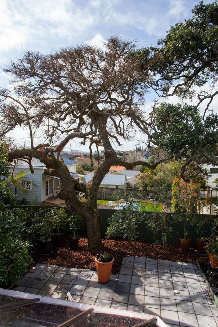 4/15 Ely Avenue Remuera_12