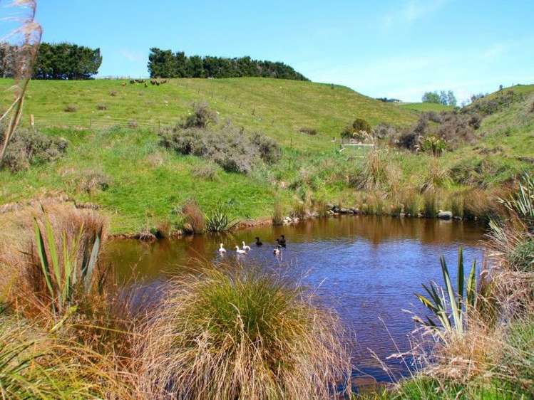 231k Ramparts Road Te Anau_14