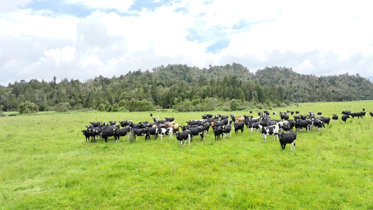 Station Road and Hodgkinson Road Inchbonnie_16