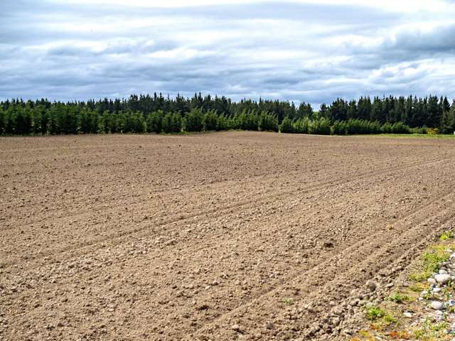 95 Acton Road Rakaia_2