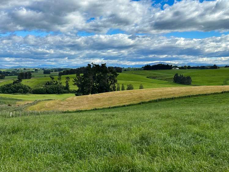 Pinnacle Road Gore Surrounds_6