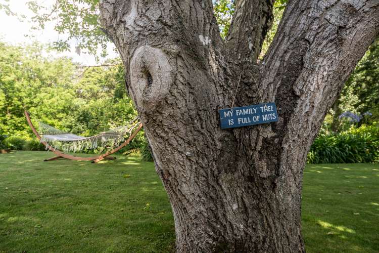 111 Kingsley Street Leamington_34