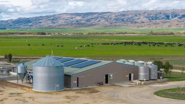 263 Puketoi Runs Road Puketoi_1