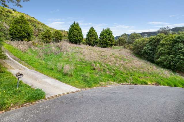 16 Webster Place Picton_2