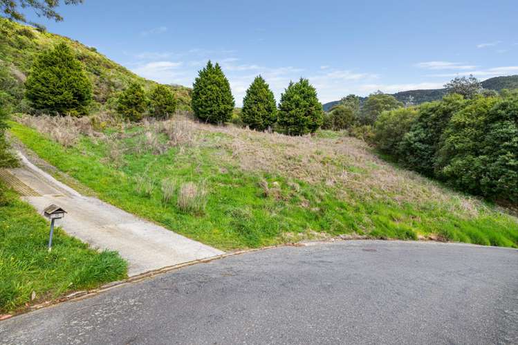 16 Webster Place Picton_2