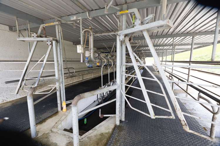 220 Blong Road Ruawai_11