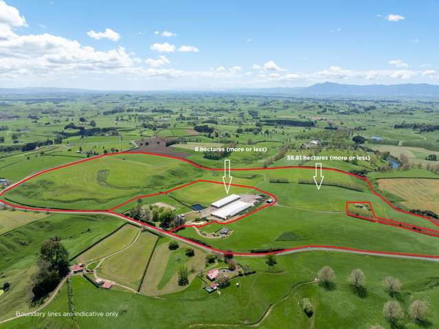 Buy one, buy both - 8 hectare & 38.81 hectare lots