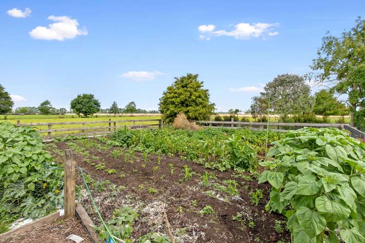 113 Kiroa Road Gordonton_17