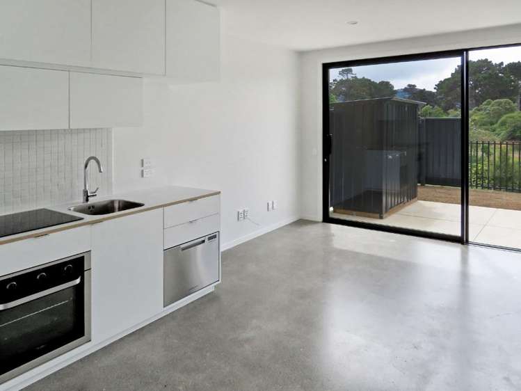 35 Te Ara O Paetutu Petone_1