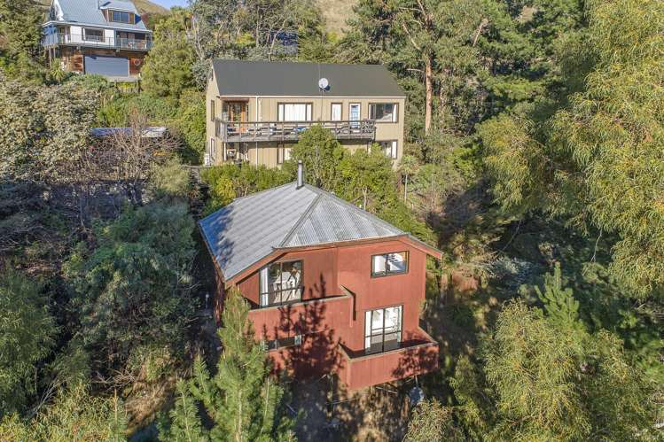 9 The Crescent Hillsborough_1