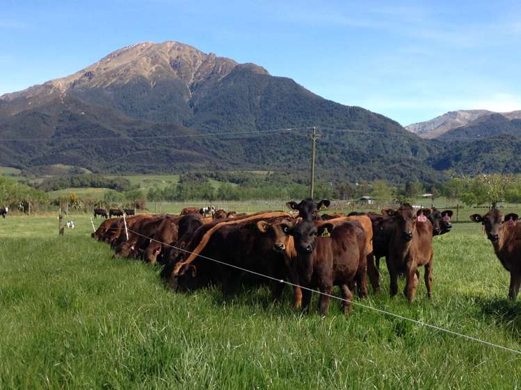 27 Flynns Road Mount Somers_13