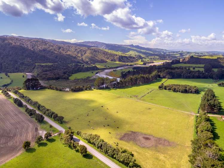 1125 Kakariki Road Eketahuna_10