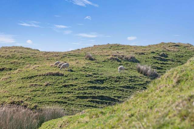 854a Mahanga Rd Mahia Beach_3