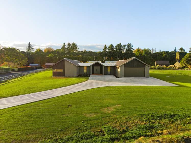 573B Kuranui Road Morrinsville_25