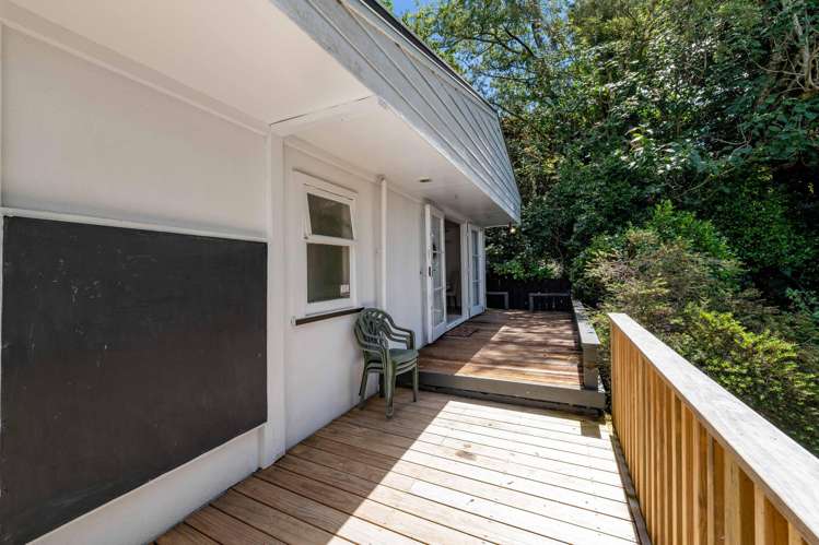 25A Saxton Road Vogeltown_3