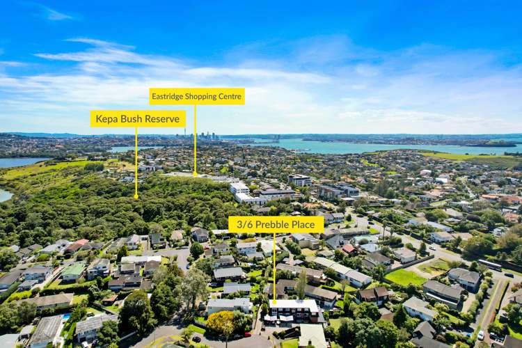 3/6 Prebble Place Mission Bay_21