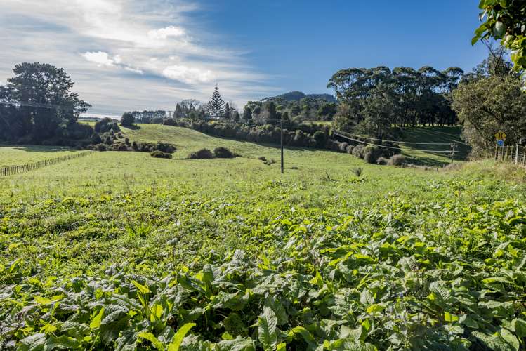 252 Wallace Road Koputaroa_14