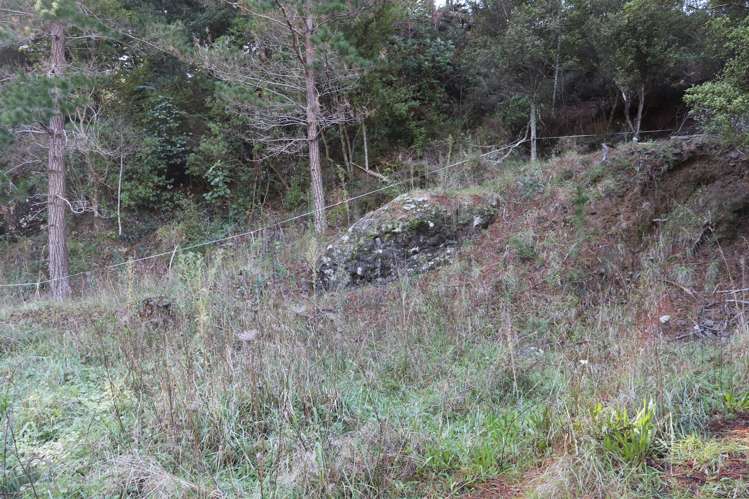 163 and 165 Tapu Coroglen Road Tapu_12