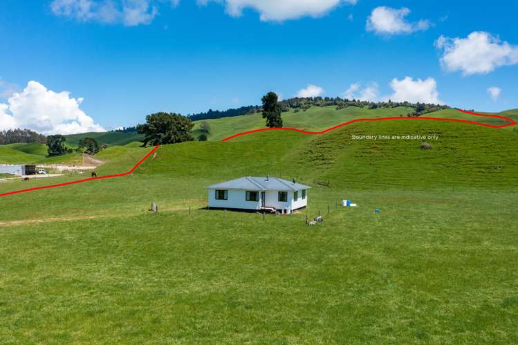 261 Pokuru Road Tirohanga_7