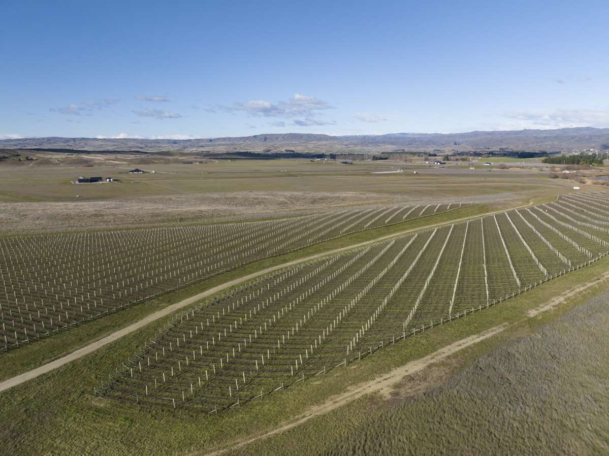 Lot 35 McArthur Road_3