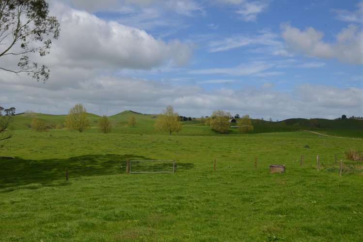 84 Tihiroa Road Otorohanga_6