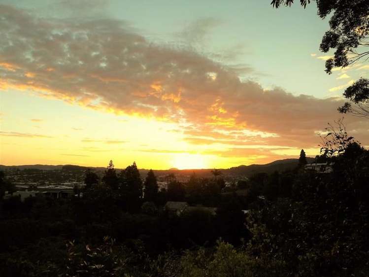 35 Punga Grove Avenue Riverside_8