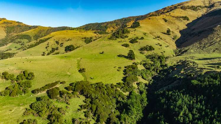 5162 Christchurch Akaroa Road French Farm_22