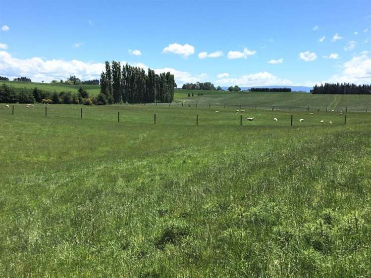 308 Waiwera Station Road Clinton and Surrounds_13