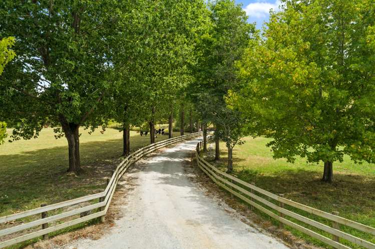 1703 Pohuehue Road Warkworth_15