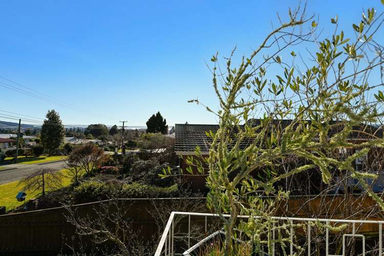 170 Otonga Road Springfield_6