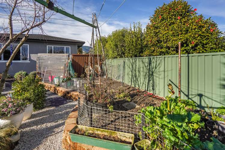 137 Nayland Road Stoke_21