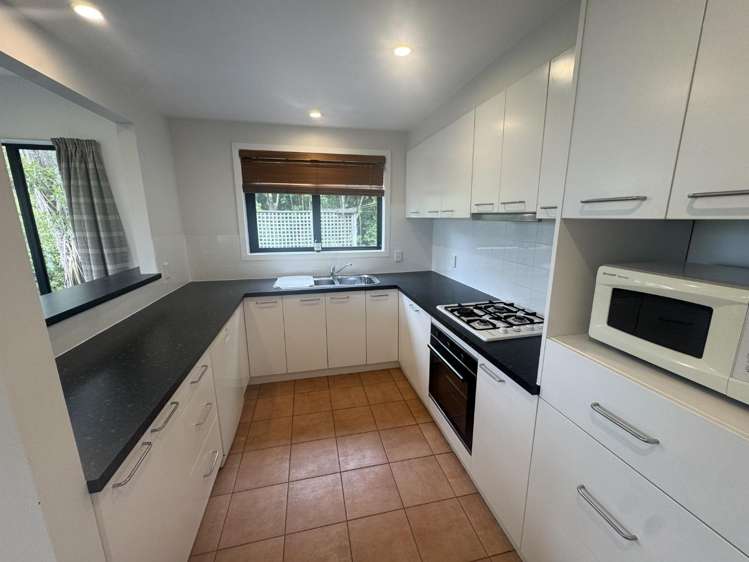 105 Holliss Avenue Cashmere_2