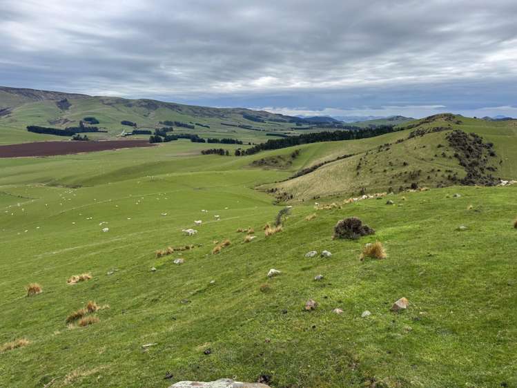 365 Glenure Hill Road Hokonui Hills_7