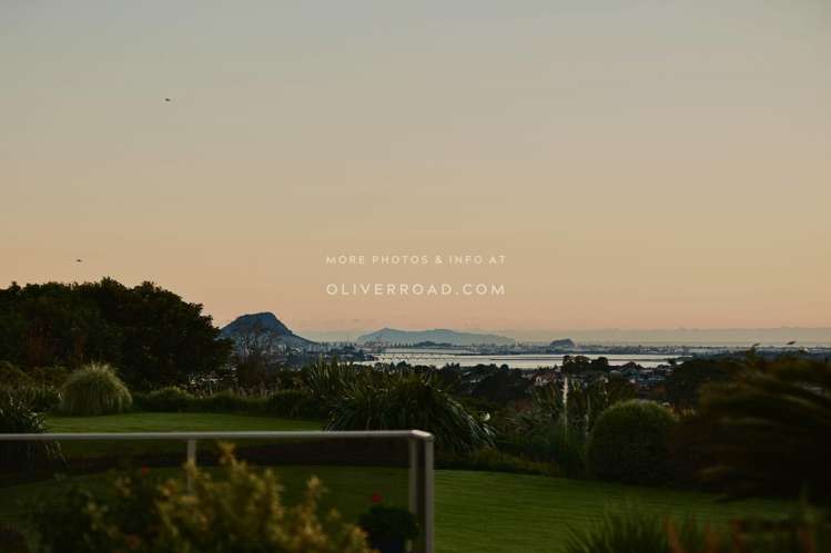 9 Tupelo Place Ohauiti_20